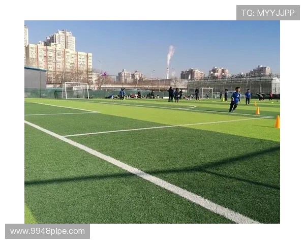 足球明星化身可动人偶在绿茵场上展现精彩踢球技艺的奇妙之旅