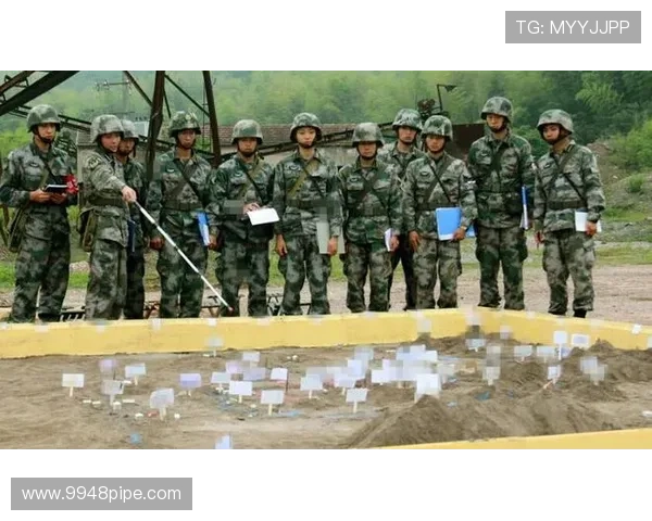 杭州乒乓球队阵地战体系解析与战术应用探讨