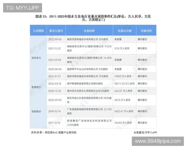 武汉排球队在大师赛中的速度表现分析与启示